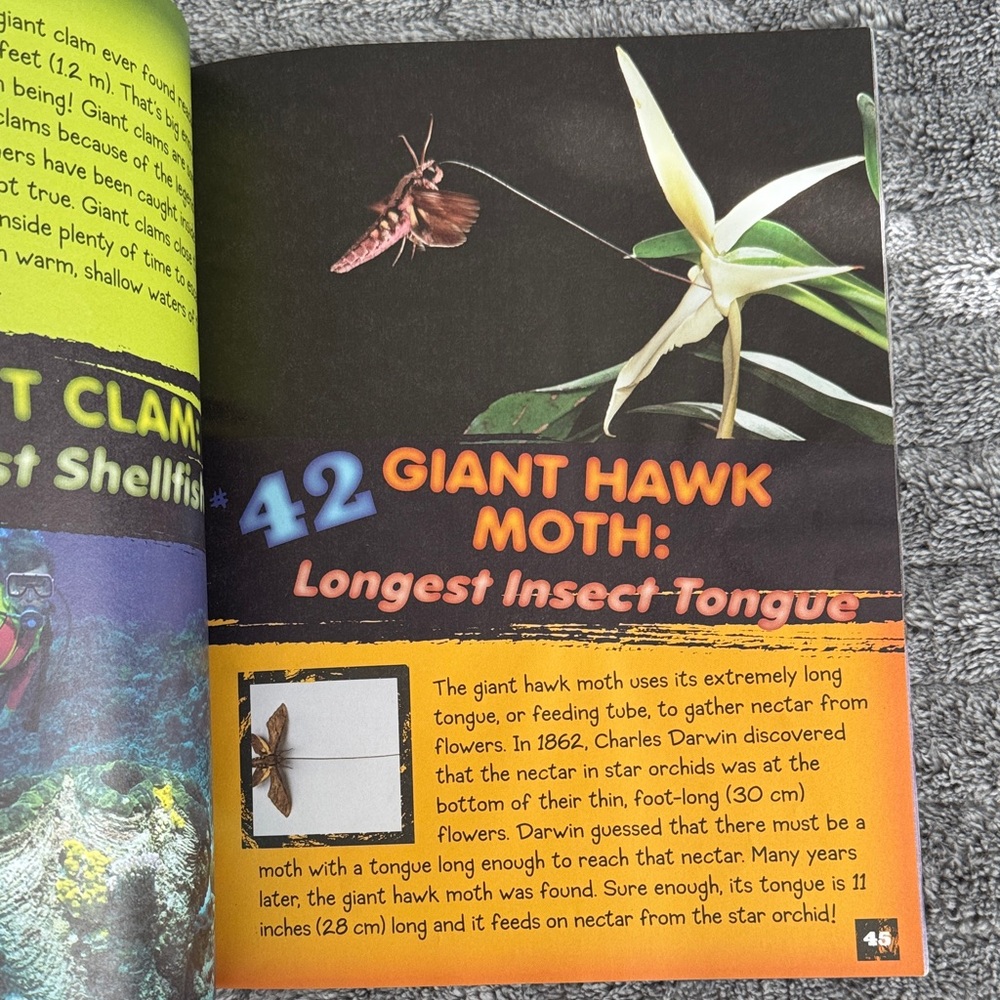 Scholastic 101 Animal Records Paper Back Book - Picture 9 of 10